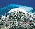 Pamilacan island Bohol