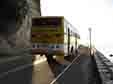 Tourist Transport Operator