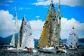 Subic Regatta