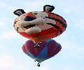 Tiger Balloon Afloat