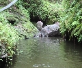 Series of water beds along the way