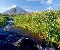 Mt. Mayon