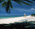 Bohol Beach