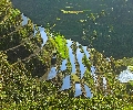 Banaue Rice Terraces