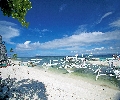 Bohol Pamilacan Beach