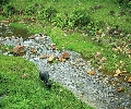Biliran River
