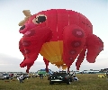 Octopus Balloon