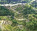 Banaue Rice Terraces