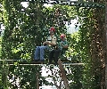 Cable cars to the virgin forests