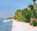Alona Beach Panglao